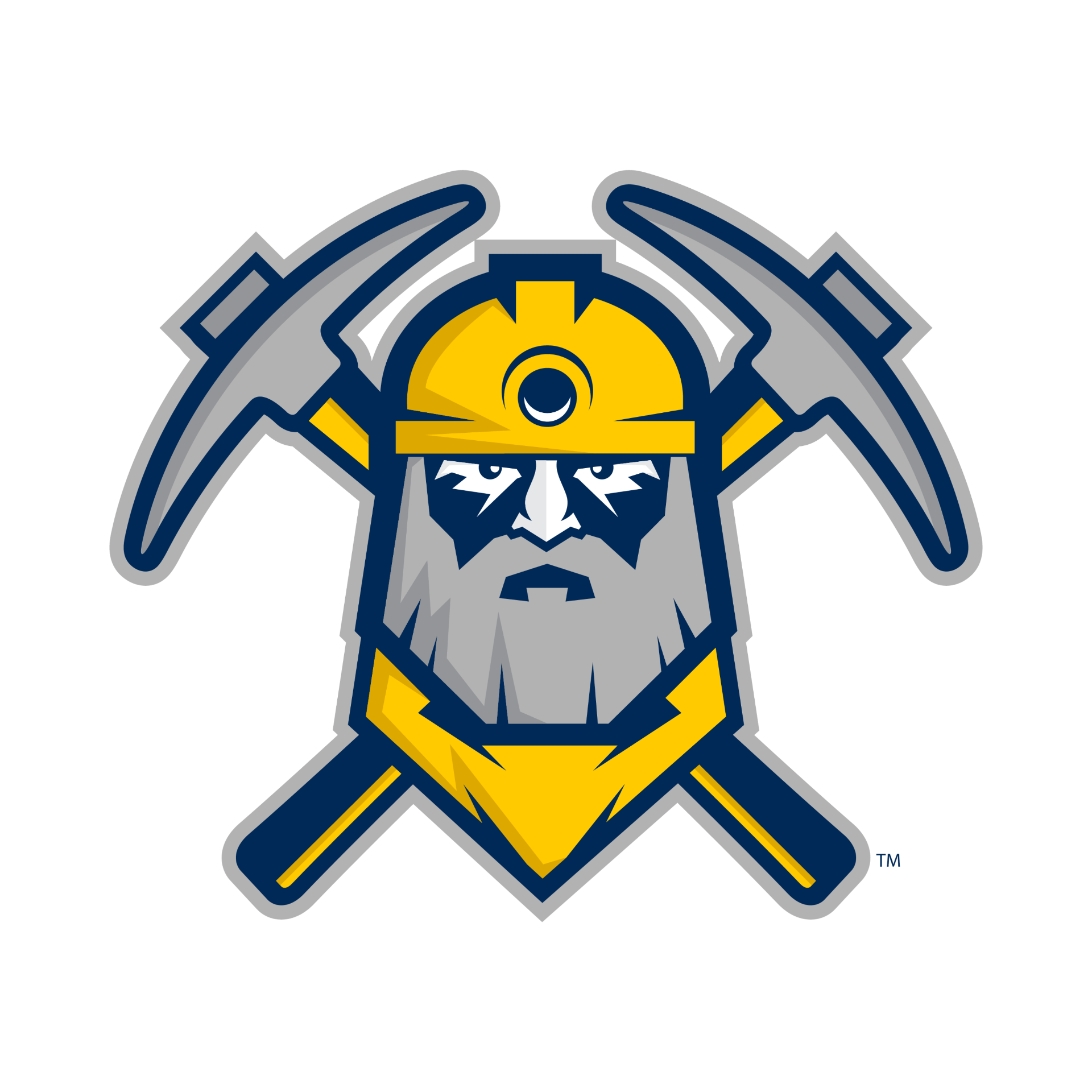 Wheeling Miners